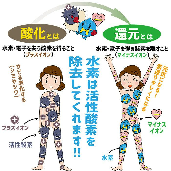 リ・コエンザイム　＜ビオソルト＞