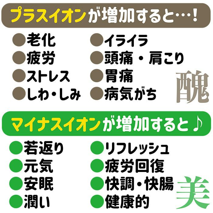 リ・コエンザイム　＜スパソルト『浴用』＞