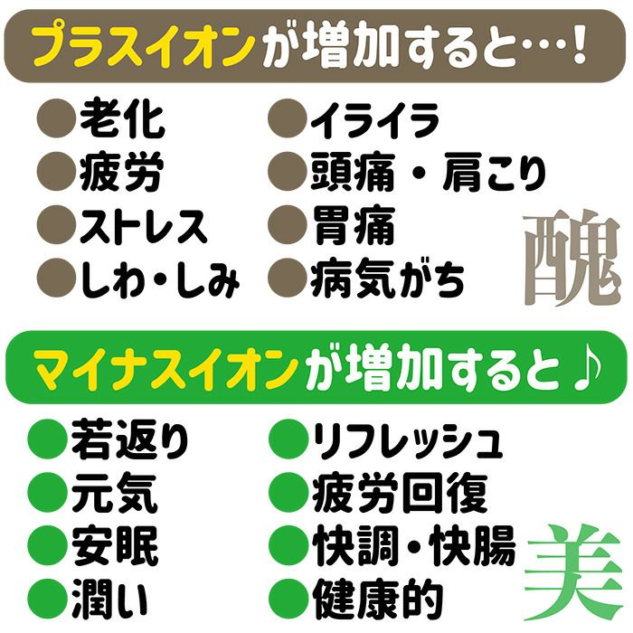 岩塩（チベット）、風化貝カルシウム