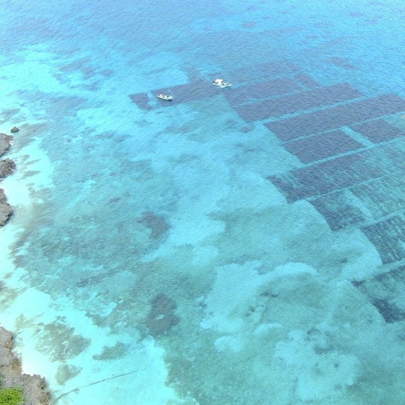  宮古島産 黄金もずく（塩蔵）80g×8パック